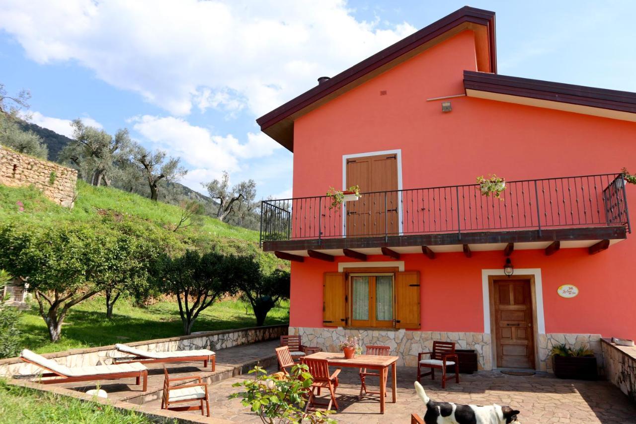 B&B La Casa Del Sole Controne Exterior photo